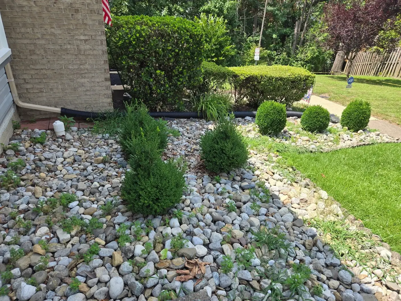 Hedge Trimming service by Sisters With A Mower