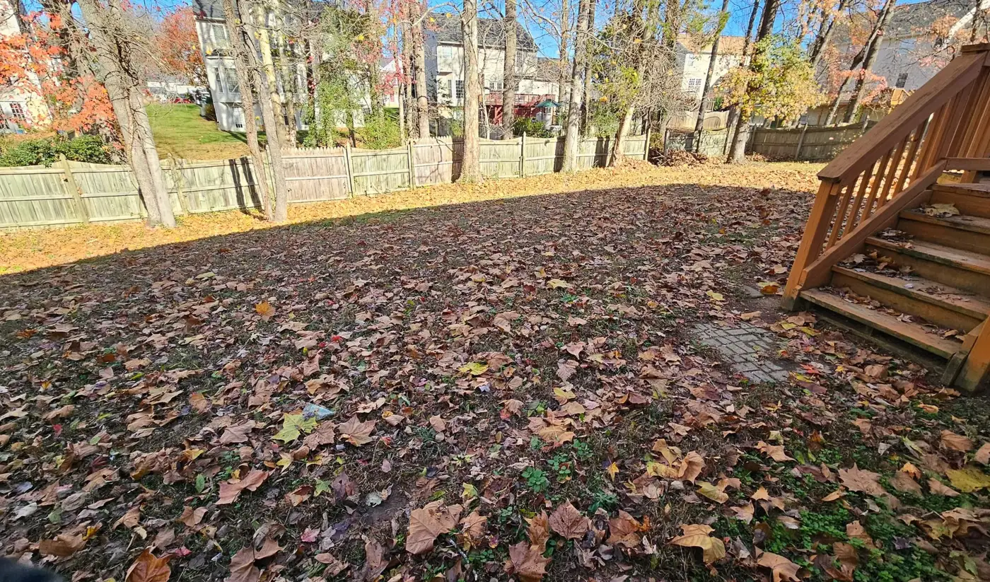 Leaf Removal service by Sisters With A Mower