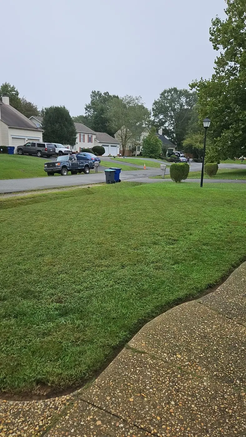 Mowing service by Sisters With A Mower